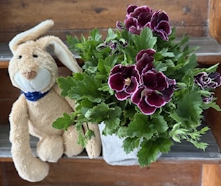 Frohe Ostern!